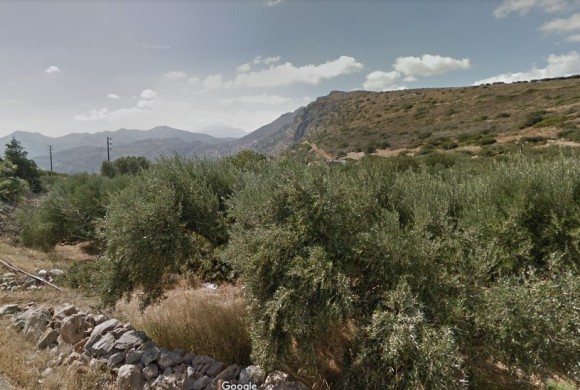 Land for sale in Lasithi Prefecture