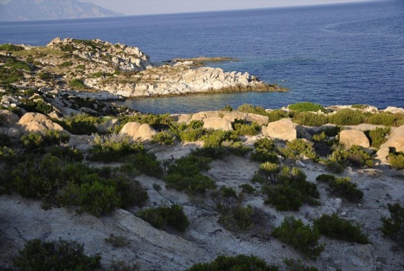 Land for sale in Chalkidiki