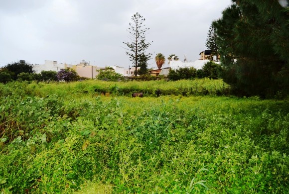 Land for sale in Heraklion Prefecture