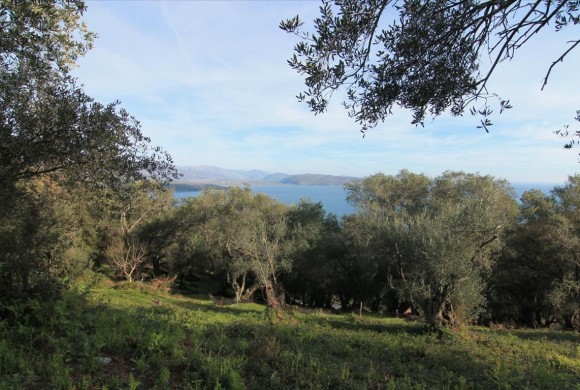 Land for sale in Corfu Prefecture