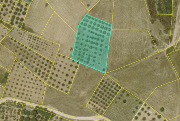 Land for sale in Chalkidiki