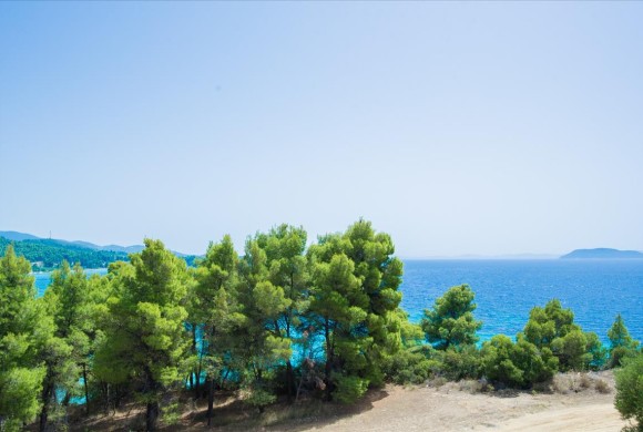 Shop / Business for sale in Chalkidiki