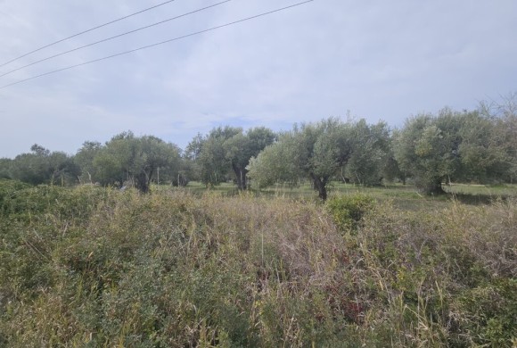 Land for sale in Chalkidiki