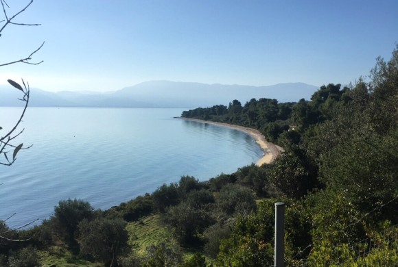 Land for sale in Evia