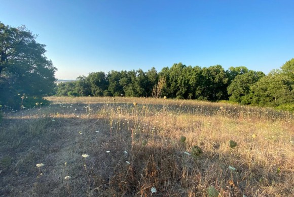 Land for sale in Chalkidiki