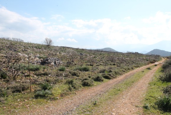 Land for sale in Lasithi Prefecture