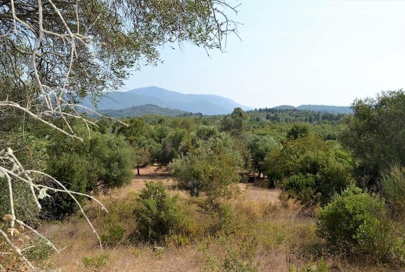 Land for sale in Corfu Prefecture