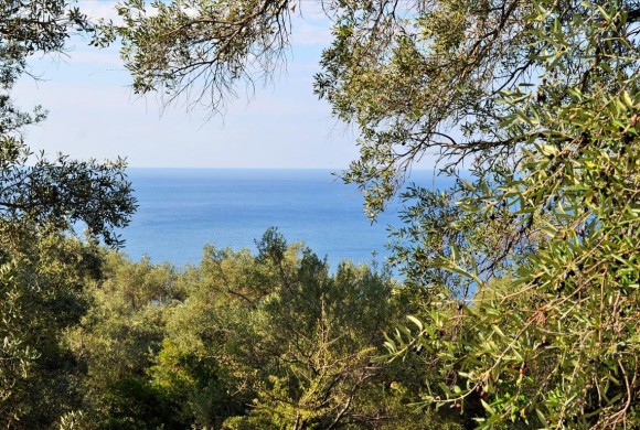 Land for sale in Corfu Prefecture