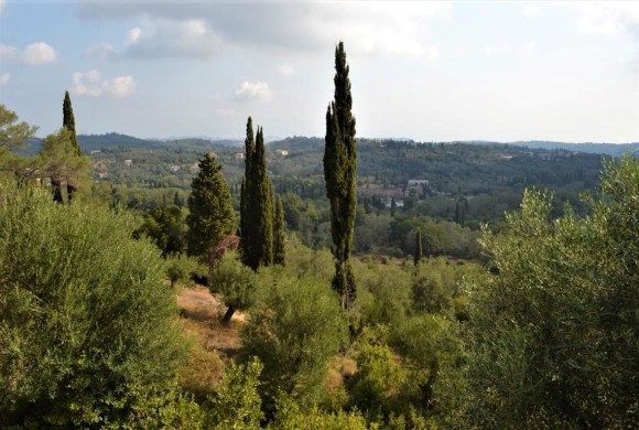 Land for sale in Corfu Prefecture