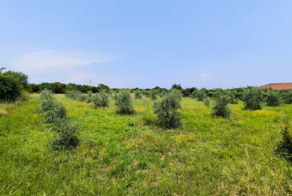 Land for sale in Pieria Prefecture