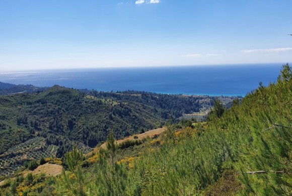 Land for sale in Chalkidiki
