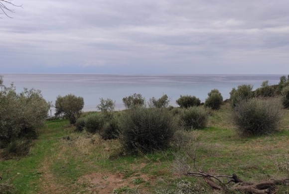 Land for sale in Chalkidiki