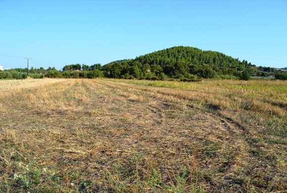 Land for sale in Chalkidiki