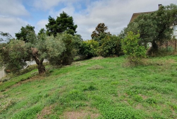 Land for sale in Chalkidiki