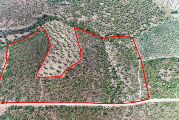 Land for sale in Chalkidiki