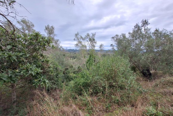 Land for sale in Corfu Prefecture