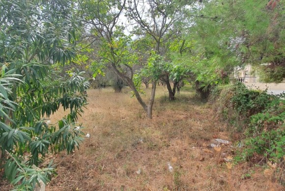 Land for sale in Chalkidiki