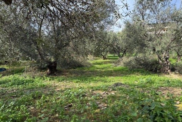 Land for sale in Chania Prefecture