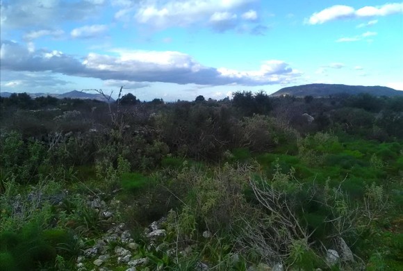 Land for sale in Chania Prefecture