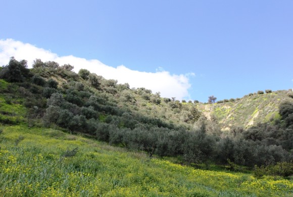 Land for sale in Heraklion Prefecture