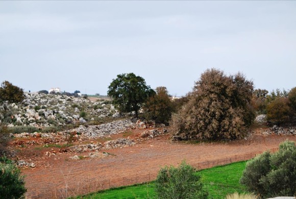 Land for sale in Rethymno Prefecture