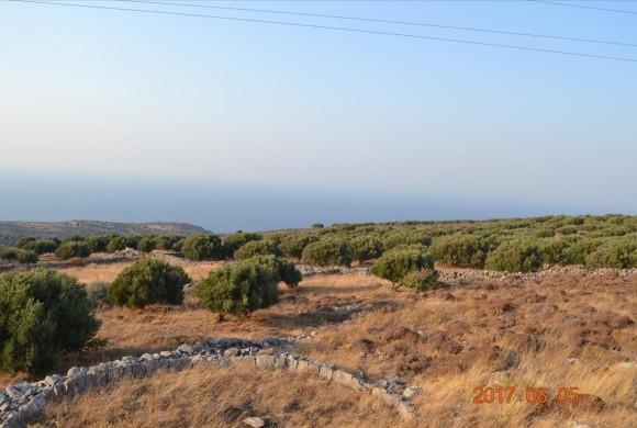 Land for sale in Lasithi Prefecture