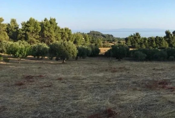 Land for sale in Chalkidiki