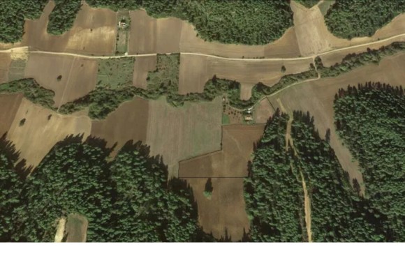Land for sale in Chalkidiki