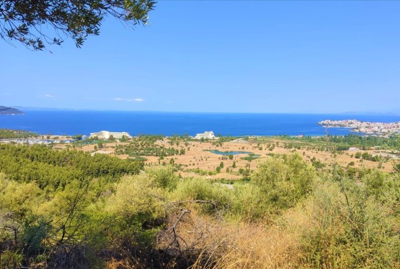 Land for sale in Chalkidiki