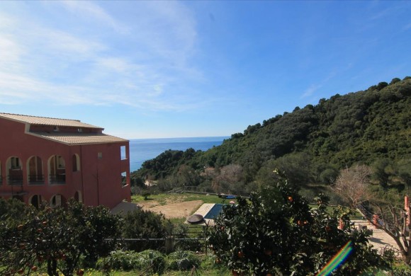 Land for sale in Corfu Prefecture